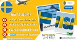 Sweden Work Permit Visa & Business Resident Visa Requirements for Argentine Citizens